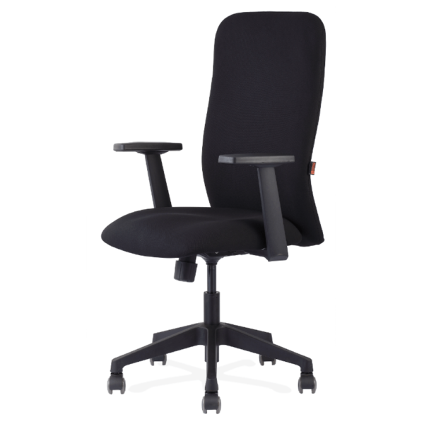 Black Comfoprtable Chair