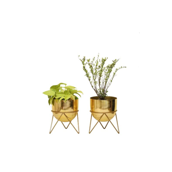 Golden Planter pot with stand